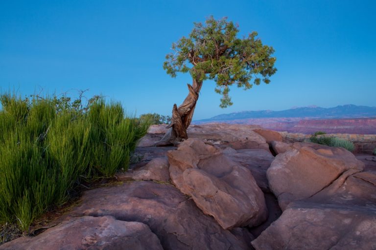 Embracing the Great Outdoors: A Journey to Reconnect with Nature