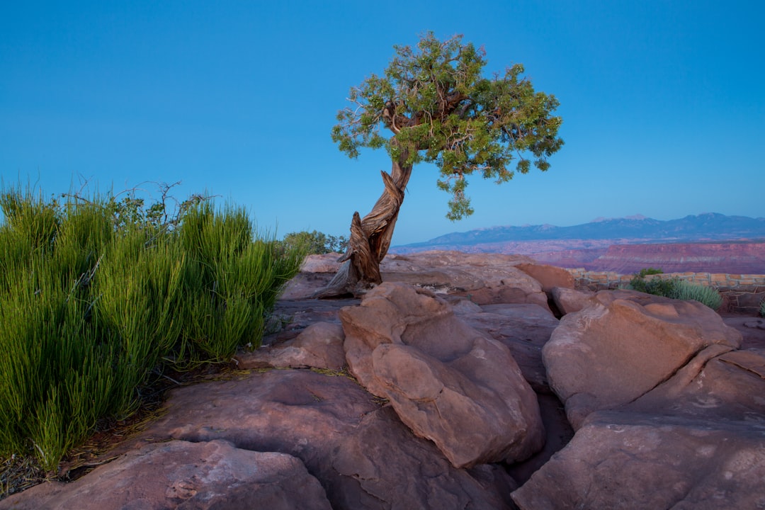 Embracing the Great Outdoors: A Journey to Reconnect with Nature Embracing the Great Outdoors: A Journey to Reconnect with Nature
